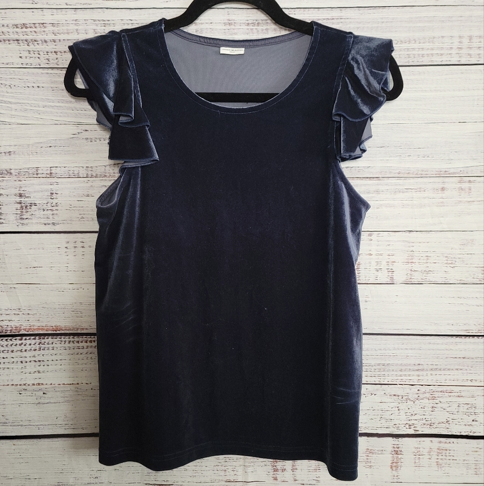 Jacqueline DeYoung S Flutter Sleve Velvet Top